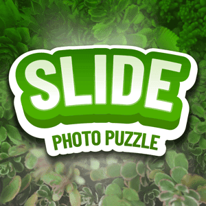 Photo Puzzle Slide Edition — free online Puzzle game