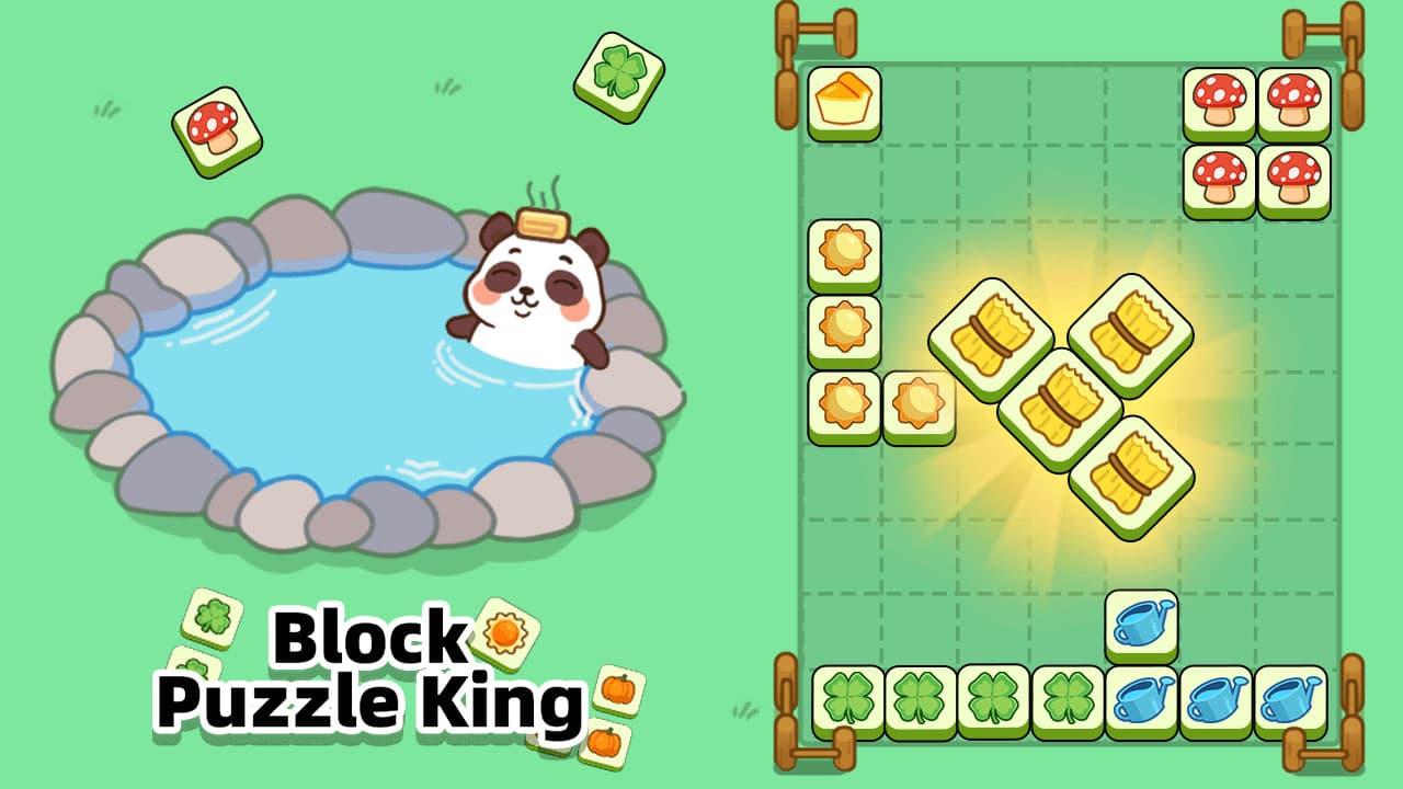 Block Puzzle King — free online casual game